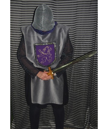 Purple Medieval Knight ADULT HIRE